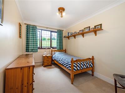 Picture 26